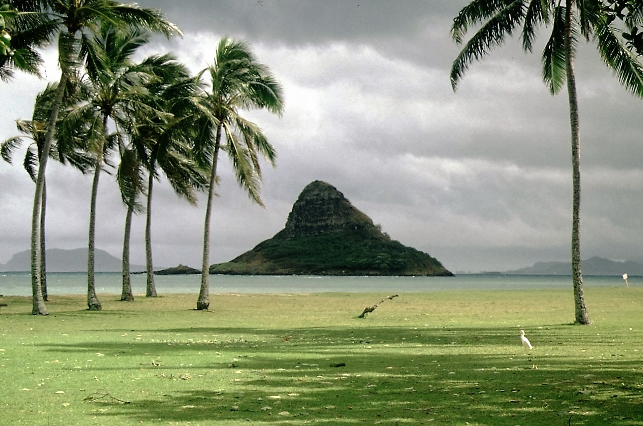 HNA Rotenburg/Bebra 10.05.2025 – Mit Tatjana Kröger in die Ferne